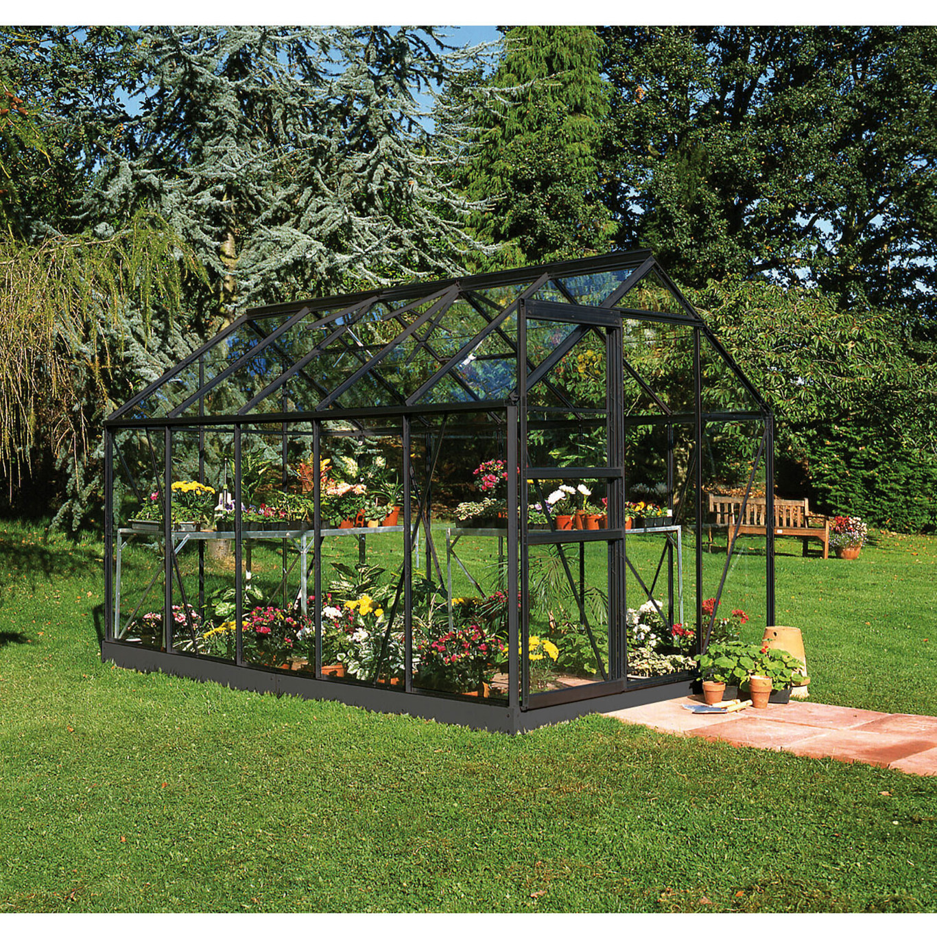 Halls Popular Gewächshaus 106 - 6,2 m² (3 mm Blankglas | Aluminium schwarz)