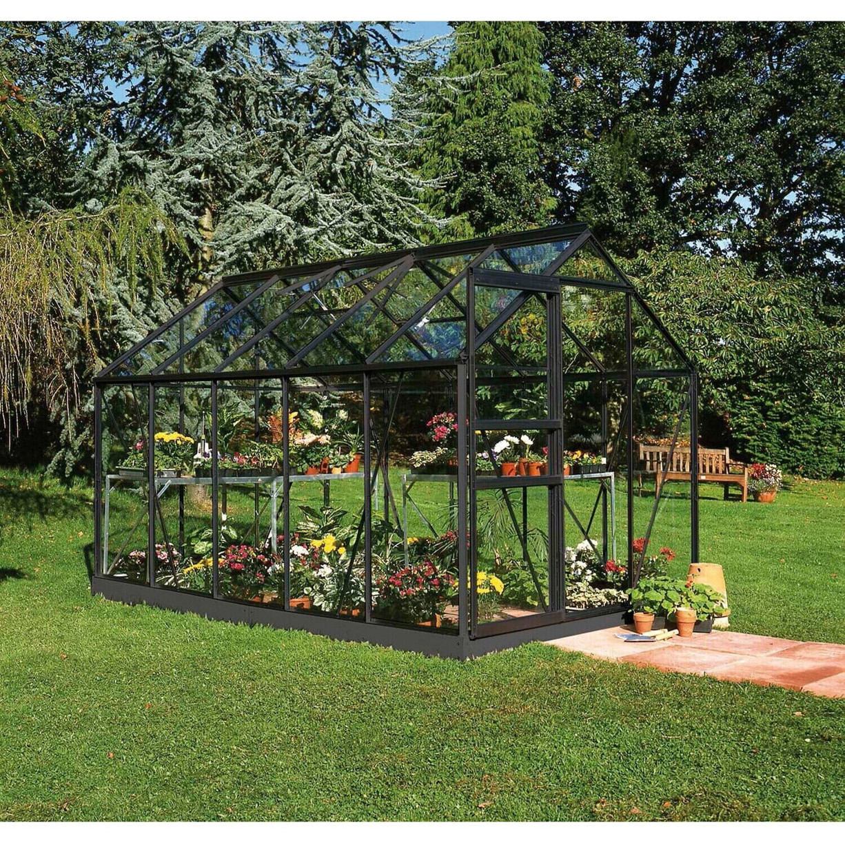Halls Popular Gewächshaus 106 - 6,2 m² (3 mm Sicherheitsglas | Aluminium Schwarz)