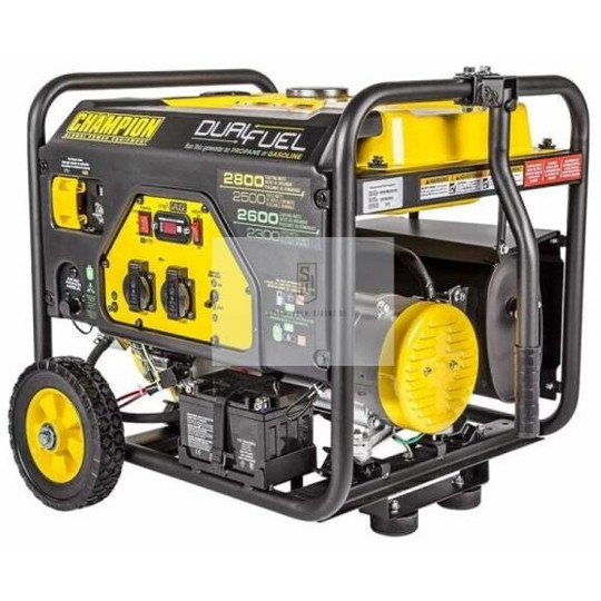 Champion 3500W Tragbarer Generator mit Elektrostart - WWCPG3500E2-DF-EU